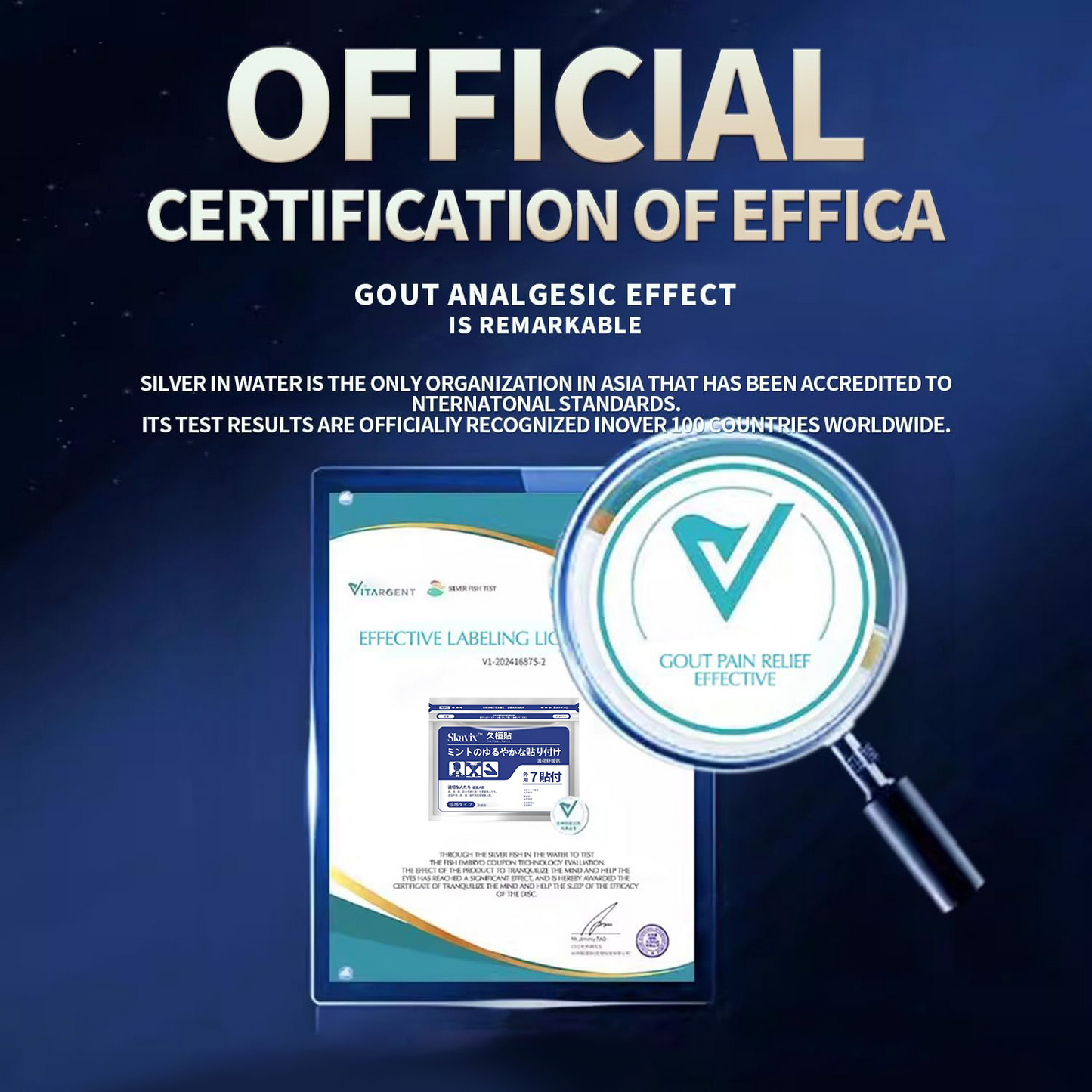 🎄Christmas Mega Sale🔥 SKAVIX™ Back Pain Patch — Natural Relief for Knee, Neck, Shoulder & Joint Pain!